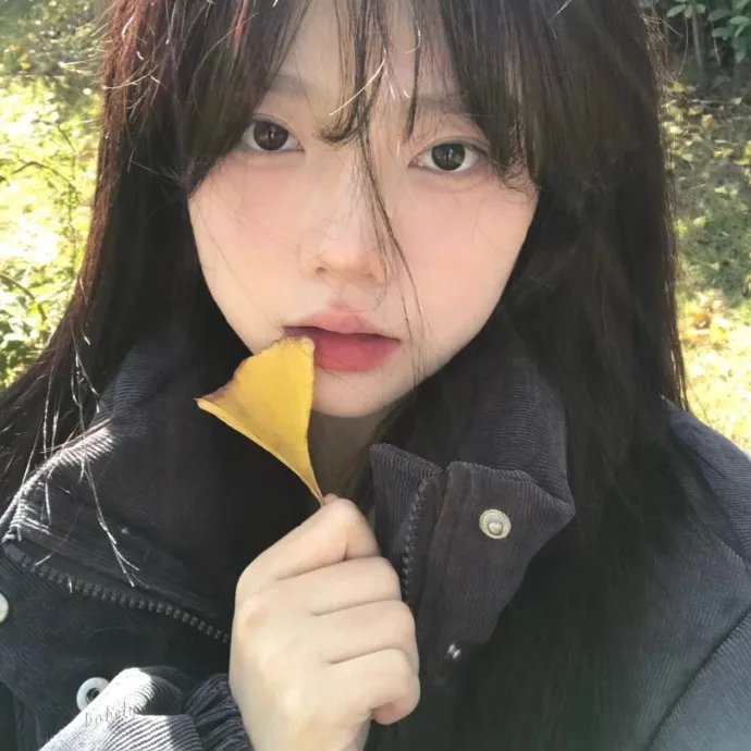 青春火花